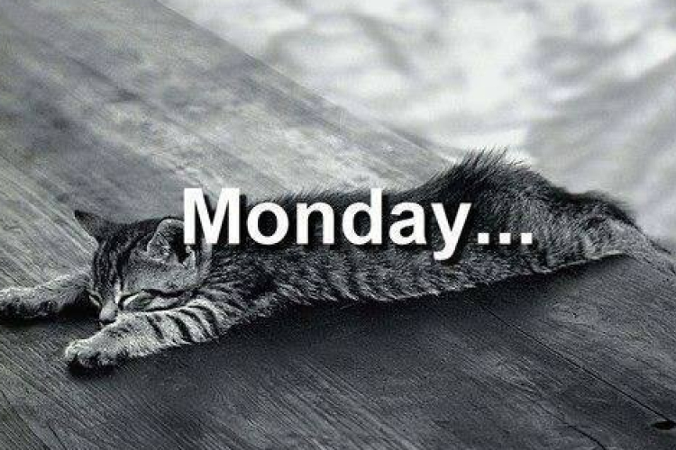 5 mozgókép a HÉTFŐ utálóknak 