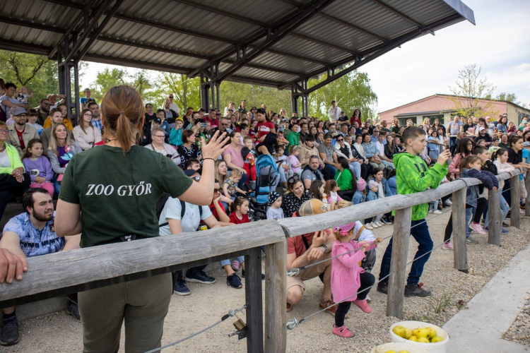 Gyermeknap a győri állatkertben