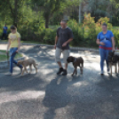 2013.06.23.Vasárnap SzFeszt 4.nap Fotók.árpika