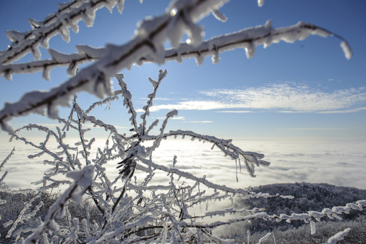 Megritkítja a kártevőket a fagy, de földeken károkat még nem okozott