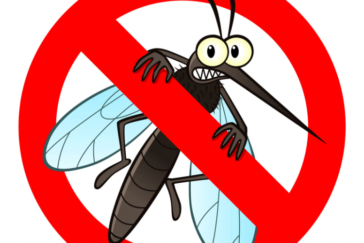 Katasztrófavédelem: Budapesten és hét vármegyében lesz szúnyogirtás a héten