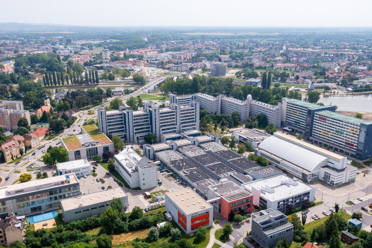 Ígéretes kutatási projektek az egyetemen
