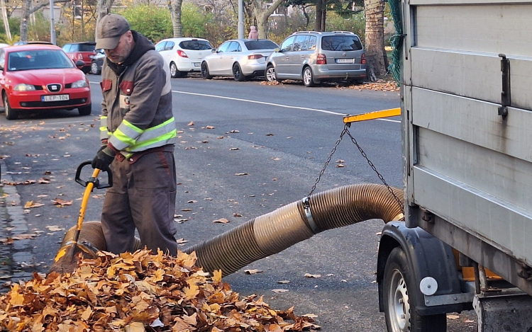 Folyamatos a lombgyűjtés Győrben