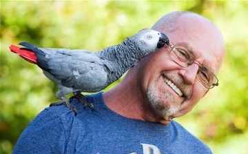 Csendszennyezéssel vádolnak egy papagájt