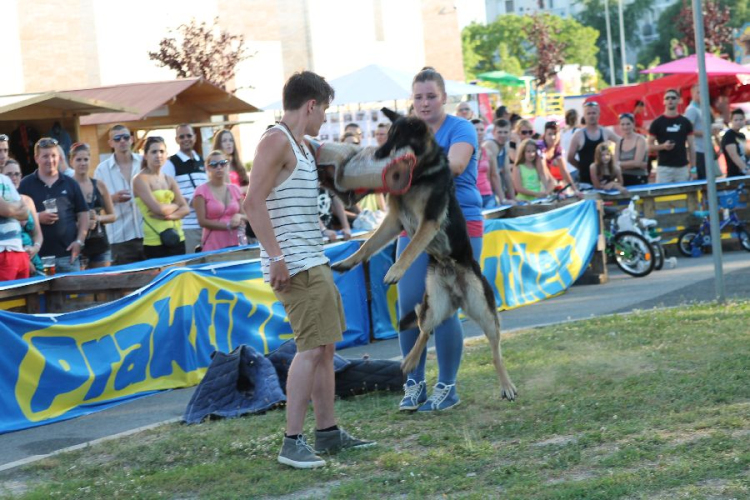 2013.06.23.Vasárnap SzFeszt 4.nap Fotók.árpika