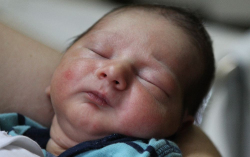 Halász Gábor Vazul 