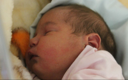 Lakatos Mirella Bella 