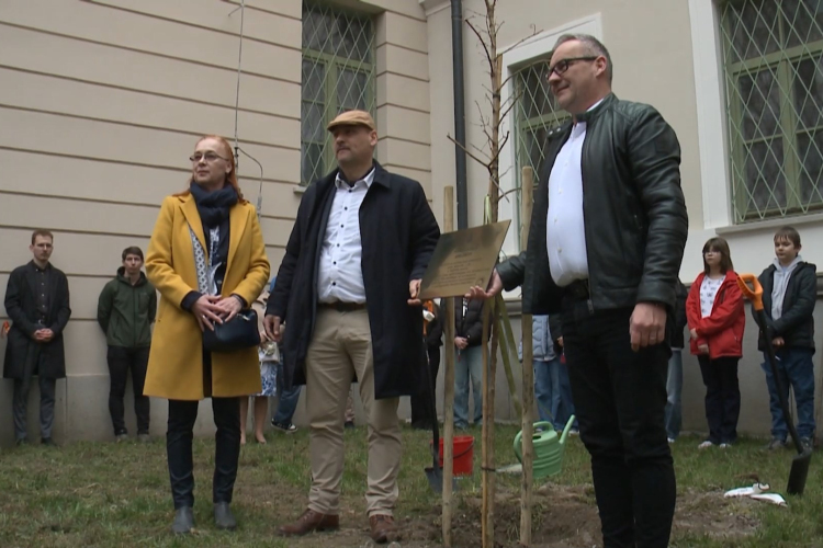 Emlékfát ültettek a győri Apáczai Csere János Karon