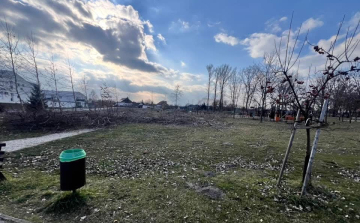 Fakivágásokból lett ügy Dunaszegen