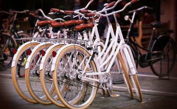 A lakosság segítségével találta meg a rendőrség a győri kerékpártolvaj