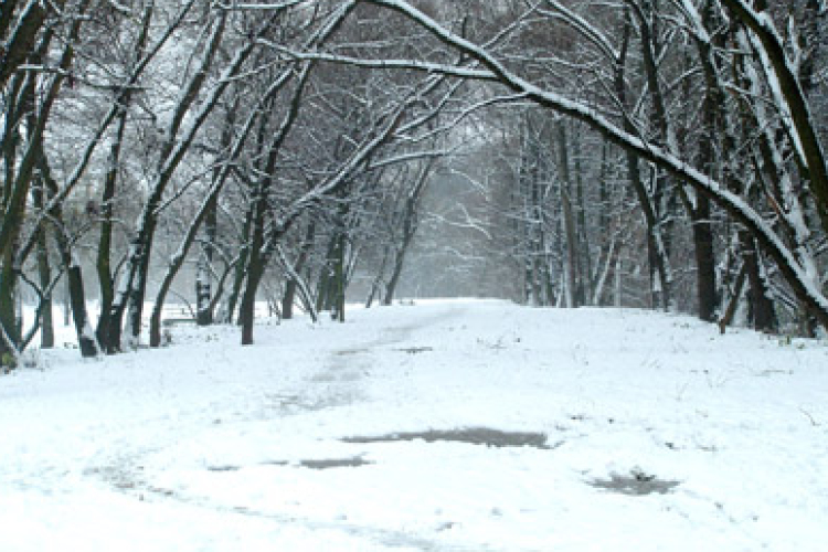 Járhatatlan út nincs Győr-Moson-Sopronban