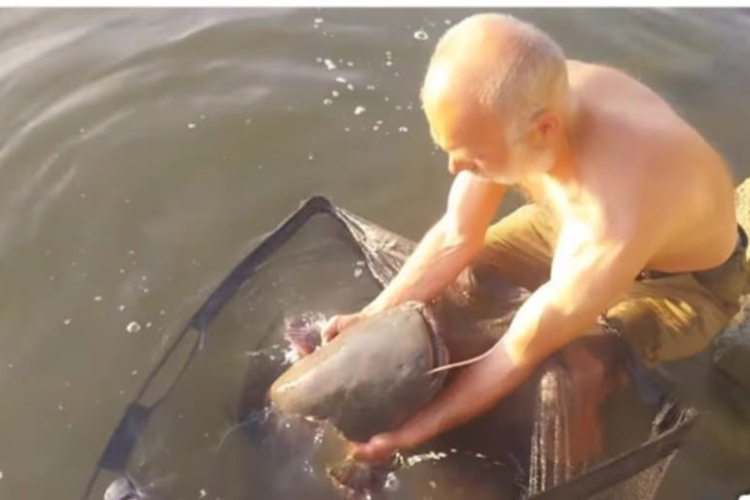 Harcsamentés a kubikgödörből (VIDEÓ)