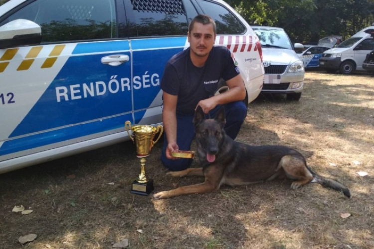 Győri rendőrök a nemzetközi szolgálati kutyás versenyen