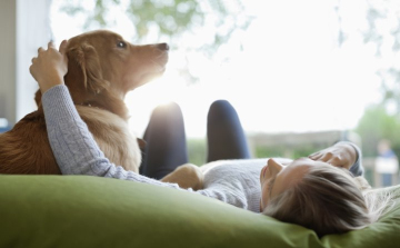 ELTE-kutatás: a kutya egyszerre gyerek és legjobb barát