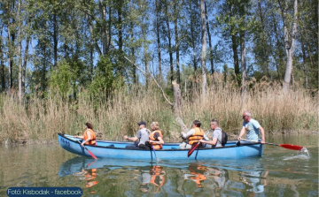 A madarak nyomában: ismeretterjesztő program és vízitúra Kisbodakon