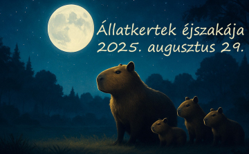 Jön az állatkertek éjszakája