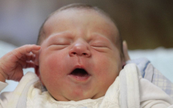 Zámbó Áron Bálint 