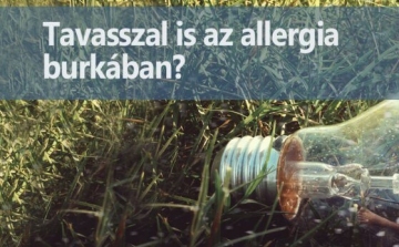 Hogyan tudjuk felszámolni a pollen és allergia gondokat?
