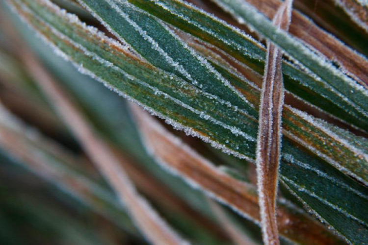 Durva mínuszokra számíthatunk éjszakánként