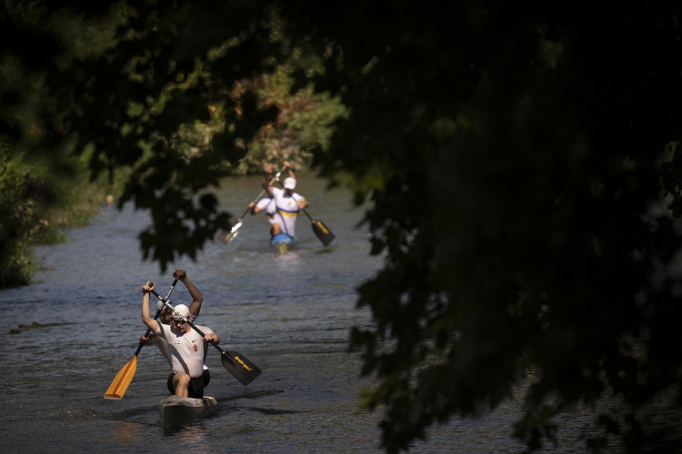 Győr és a válogatott is csillagos ötösre vizsgázott
