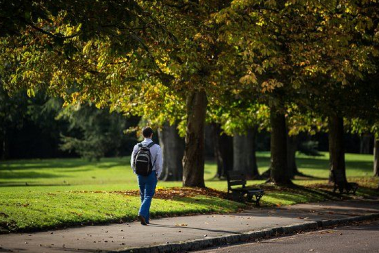 Továbbra is enyhe marad az ősz