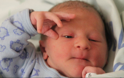 Tamasics Bence Balázs 