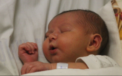 Váradi-Marcsa Csenger 