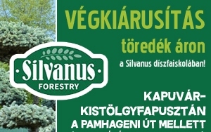 Végkiárusítás a Silvanus díszfaiskolában