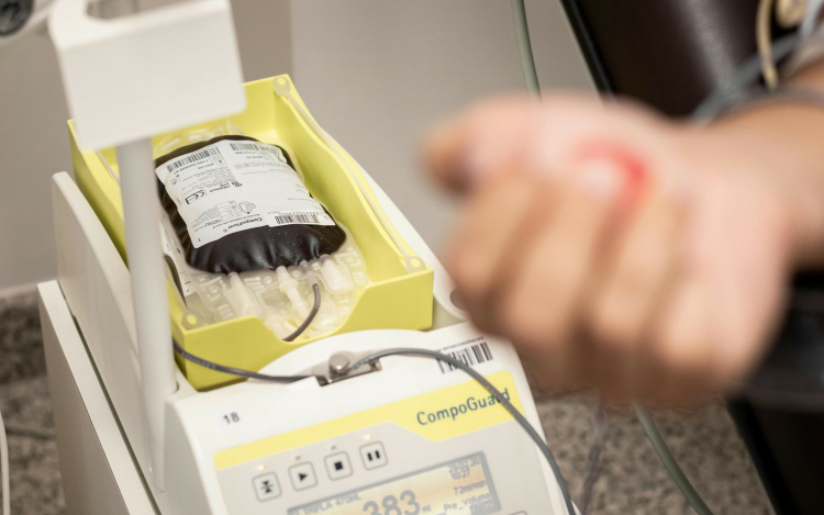 Vénaszkennert „lőttek” a vadászok