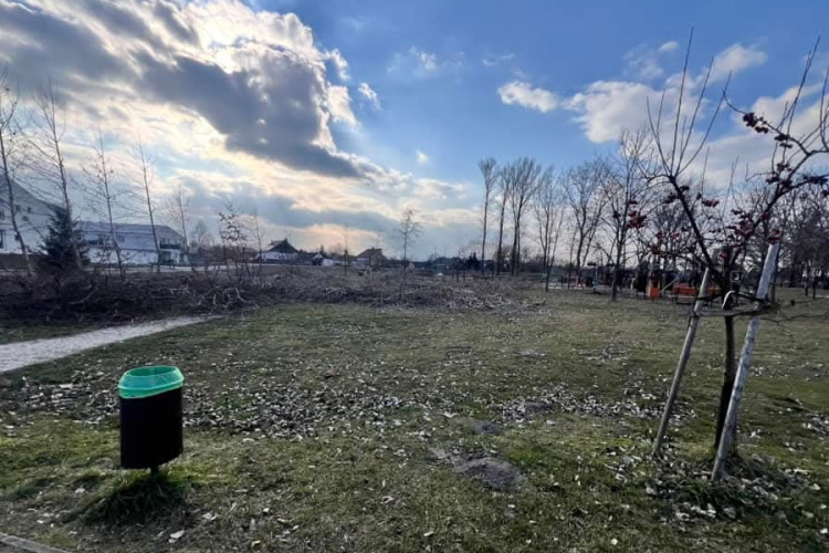 Fakivágásokból lett ügy Dunaszegen