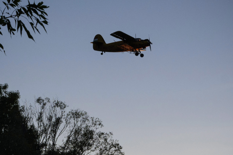Folytatódik a szúnyogirtás