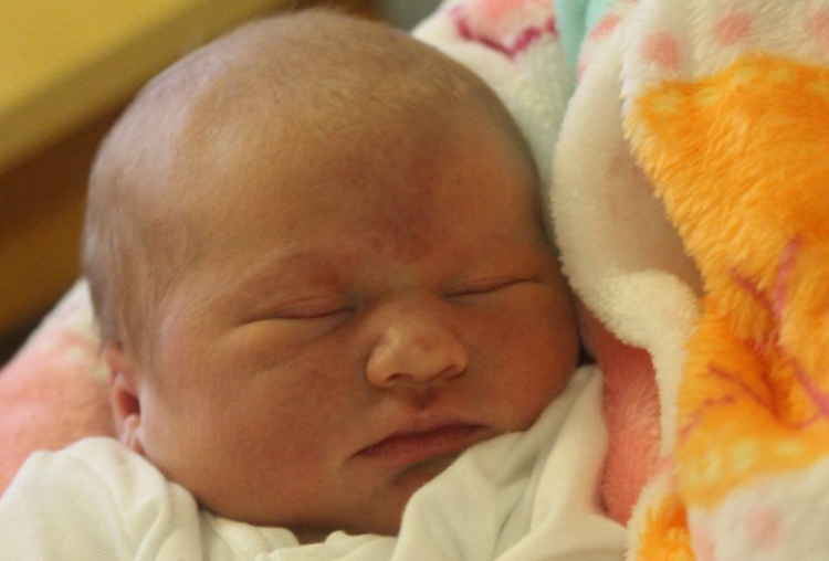 Vörös Léna Csenge 