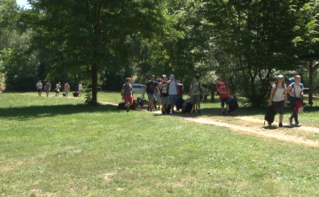 Még nem késő beadatni a kullancs elleni védőoltást