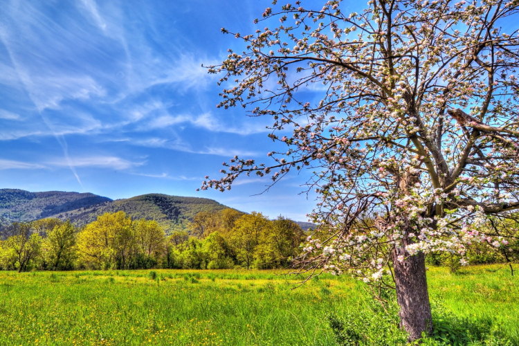 Hétvégére 20 fokot ígérnek