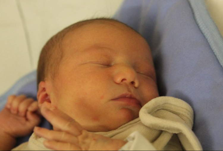 Molnár Gergő Benedek