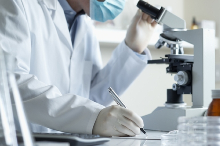 Az immunrendszert erősítő vírust azonosítottak amerikai kutatók