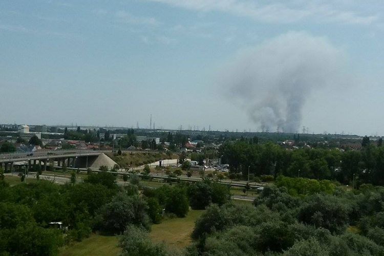 Hatalmas lángok Győr és Bőny között százhektáros gabonatábla lángol
