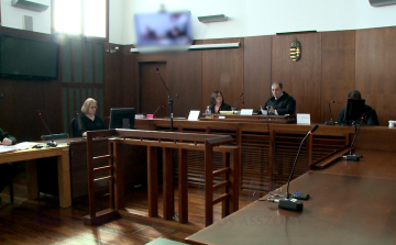 Agyonverte férjét az idős asszony