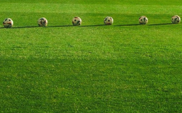 Gyepcserére lesz szükség a stadionban
