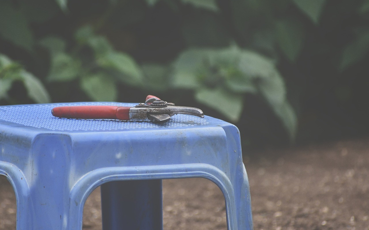 Január a kertben, induljon az éved tudatosan!
