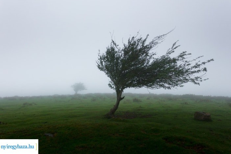 Országszerte kiadták az elsőfokú figyelmeztetést a viharos szél miatt