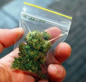 74 tő cannabis és 1,5 kilogramm marihuána
