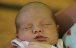 Szabadházy Szofi Léna 