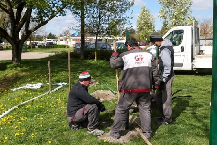 Kutyafuttató épül