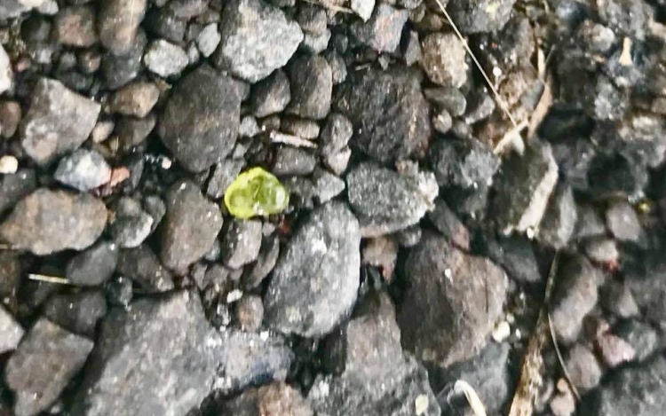 Drágakövek szóródnak szét a hawaii vulkánból