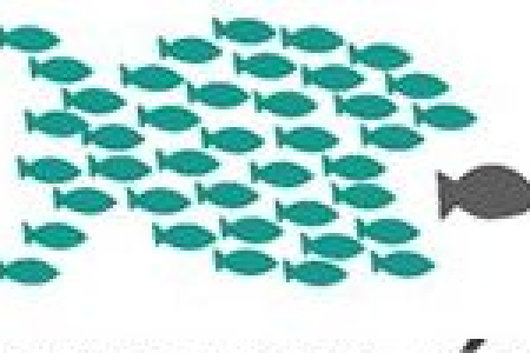 Hallgatói tiltakozás - IKSZ: a Hallgatói Hálózat hagyjon fel az 