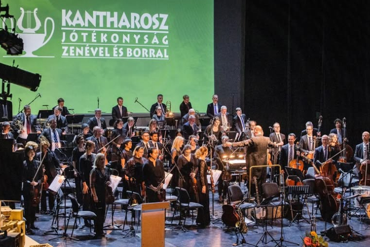 Pályázati felhívás: „Kantharosz a gyermekek jövőjéért, a jövő nemzedékéért”