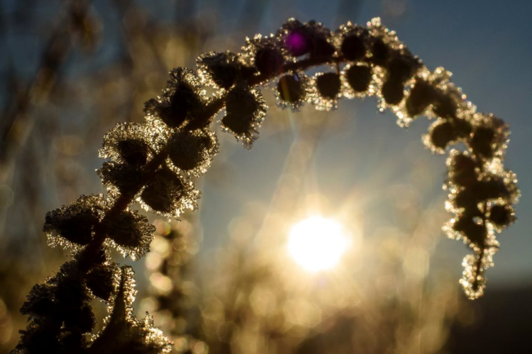 Sok napsütés, emellett kevés ónos eső várható a napokban