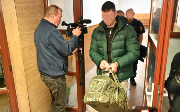 Hazamehetett, de bűnügyi felügyelet alá került a gázoló