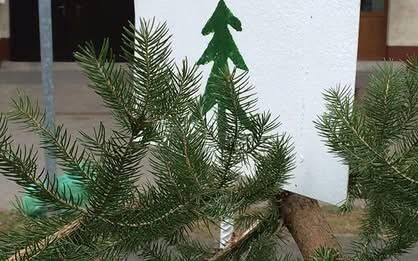 Karácsonyfagyűjtés: már csak pár nap!